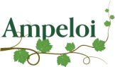 logo ampeloi